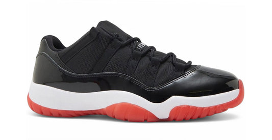 DS AJ11 BRED LOW