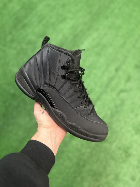 AJ12 WINTERIZED SZ 10